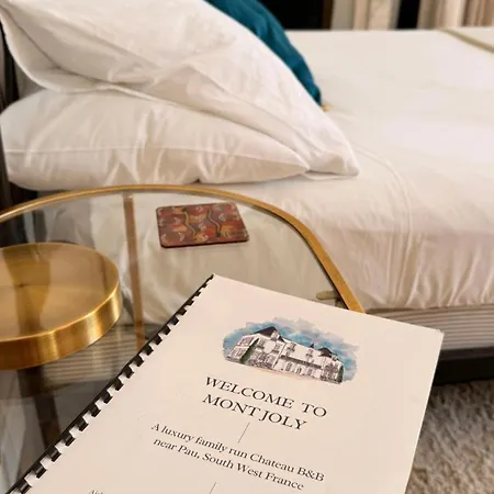 Chateau Mont Joly 4* Gan